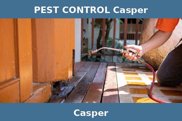 PEST CONTROL Casper